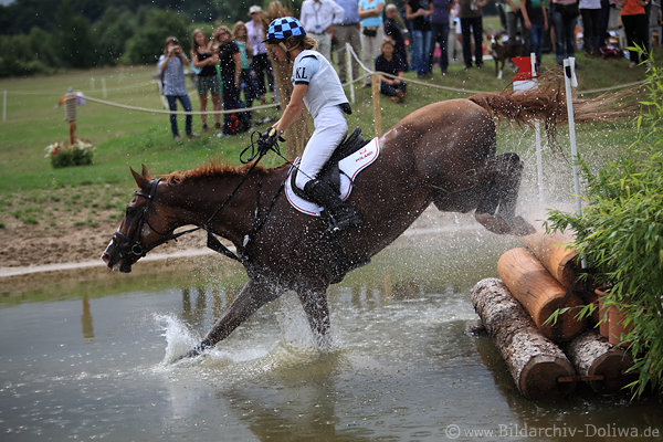 Pferd Sibbett Hindernisreiten Sprung ins Wassergrabem mit Malgorzata Korycka