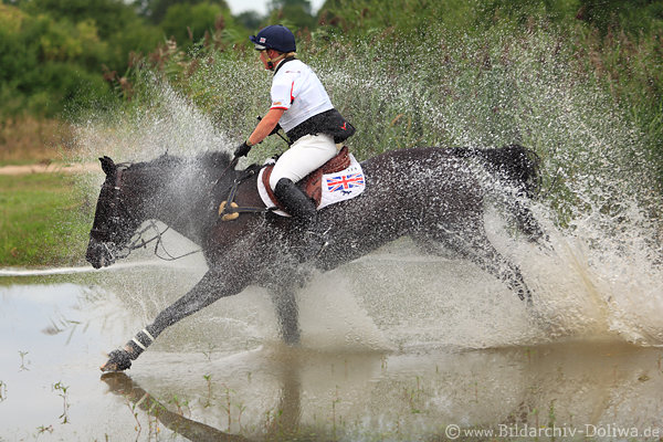 Pferd spritziger Wasserritt mit Dani Evans Reiterin 