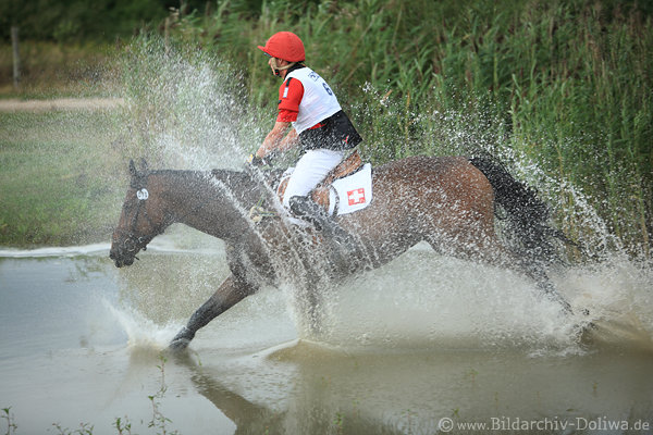 Pferd in Wassertropfen SpritzRitt Schweizer Ben Vogg Gelndeprfung