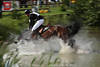 Pferdefall Kopf-Tauchgang ins Wasser Reiter Unfall-Bild Kai Rder Missglck auf Leprince des Bois