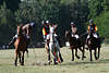 805165_ Team El Polista Poloreiter im Polospiel gegen Darboven Poloteam mit Christopher Kirsch in Bild