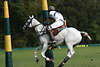 809166_ Nick Pepper weißes Polopferd photo am Torpfosten Paar Tor schießen für England Poloteam