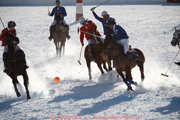 Pferde-Polospiel in Schnee Gegenlicht dynamisches Foto Sportkampf um Ball auf St.Moritzsee Schweiz Polo-Momente