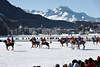 Sankt Moritz Polo Pferde auf Schnee Winterbild in Engadiner Bergkulisse herrliche Alpenlandschaf