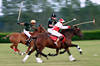 Galoppritt Polospieler Bewegungsunschrfe Aktionfoto Pferdereiter hinter Ball