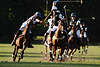 Pferde Polostars Aktionfotografie Polospiel mit Sticks Renn-Danamik Aktionbild