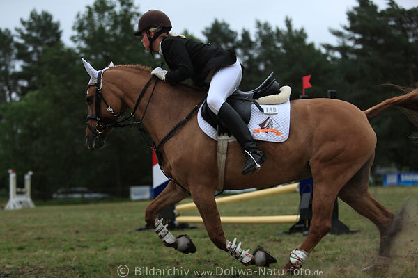 Ponyspringen Reiterin dynamische Fotografie Mädchen auf Hürdenspringen-Parcours