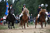 000898_Islandpferde lange Mhnen Trio Galopp Schauritt mit hbschen Mdchen Reiterinnen Sportfoto