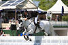 Springreiter weisses Pferd Hrdensprung Bild dynamisches Foto vor VIP-Zelt Hamburger Sportarena