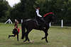 000422_Mdchen laufend hinter Reiterin auf Schwarzpferd Foto eleganter barocken Hofreitschule