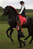 000450_Blonde Reiterin Foto auf Pferd im schwarzen Reitkleid mit Rotschleife zum Mdchen im Lauf  Eleganz barocken Hofreitschule