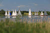 Classic Week Segelregatta in der Schlei Wasserlandschaft Foto Yacht-Klassiker Segeln Bild