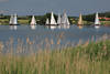 1401169_Segeln Bild in Natur der Schlei Landschaft Weisegel, Schilf Panorama auf Seewasser