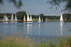 1401181_Yachten weisse Segeln Spiegelung in Wasser der Schlei Natur Landschaft Bild Classic Week Regatta