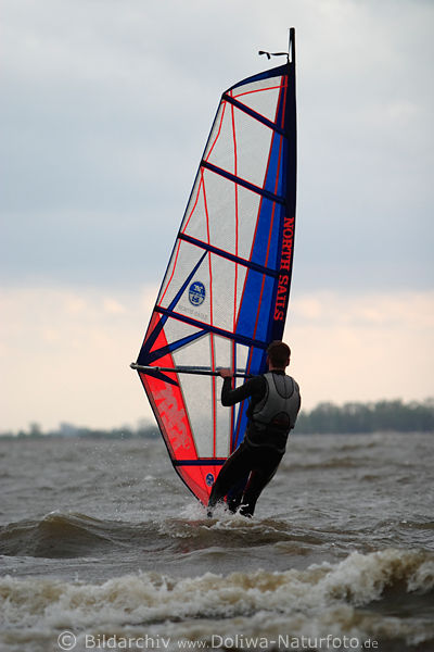 Windsurfer mit bunter Segel in Gischt der Elbe Wellen reiten