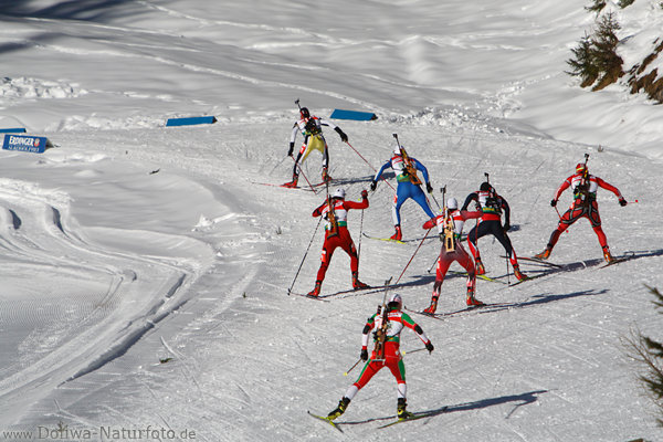Biathleten-Gruppe Skilauf auf Schneeloipe mit Gewehr auf Rcken