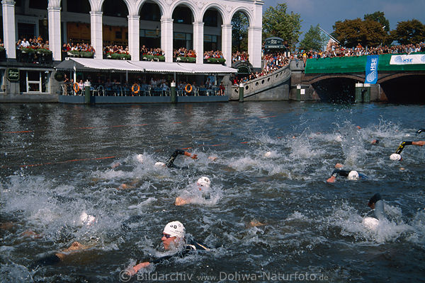 Triathlon Schwimmerinnen in Kleine Alster Wasser schwimmen bei Weltcup Holsten-City-Man