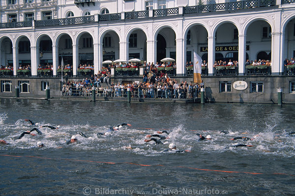 Frauen Triathlon Foto schwimmen vor Alsterarkaden Hamburg in Wasser Kleine Alster Bild