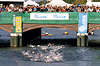 309010_ Triathletinnen Foto unter Reesendammbrücke mit Zuschauer, Schwimmerinnen Frauen Elitefeld Bild