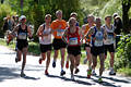 Marathon Laufbild in Alsterallee Hamburger Jogger-Truppe in Sonnenschein Gegenlicht