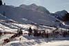 Hochfilzener romantische Biathlonstrecke am Berghang Fotos im Schnee Sonnenschein mit Gipfelblick