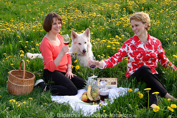 Hund Picknick im Grnen mit Frauen auf Blumenwiese Frhlingsblte Wein trinken