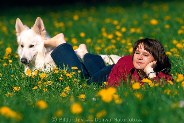 Hund mit Frauchen in Blumen Frhlingsblte Urlaub
