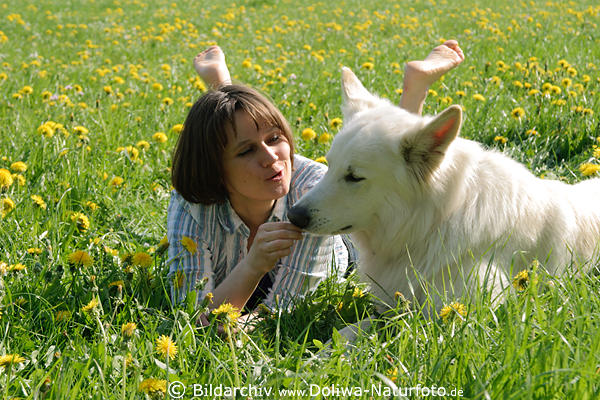 Schferhund mit Girl Frau auf Wiese Frhlingsblte liegen im Gras spielen