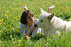 Schäferhund Bilder mit Girl Frau auf Wiese Frühlingsblüte liegen im Gras spielen