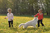 Schäferhund Frühlingslauf mit FrauenPaar in Blumenfeld gelber Blütenwiese Spass