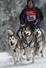 101497_Schlittenhunde Husky Vierer-Gespann im Hundeschlittenrennen Winterfoto dynamisches Hunderennen auf Schnee