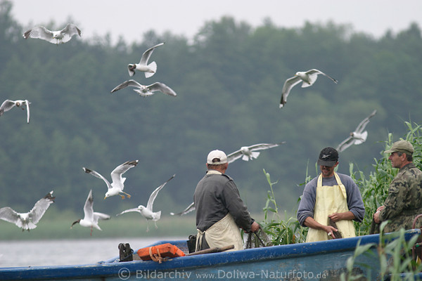 Mwen fliegende Seevgel Fischers Flugbegleiter Foto Boot in Seenlandschaft