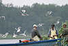 Moewe47_ Möwen fliegende Seevögel Fischers Flugbegleiter Foto Boot in Seenlandschaft