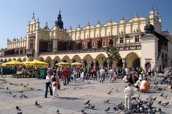 Tauben zwischen Menschen am Marktplatz in Krakau, Vogel & Taube fttern auf Krakauer Altstadt