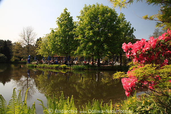Teichufer Blumen Vogelpark Walsrode Frhling grne Vegetation am Wasser mit Gartencaf 