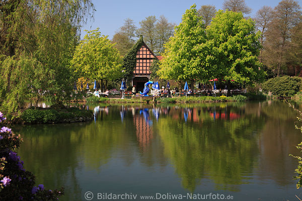 Gartencaf Bild am Teichwasser in Vogelpark Walsrode Frhling in grner Vegetation