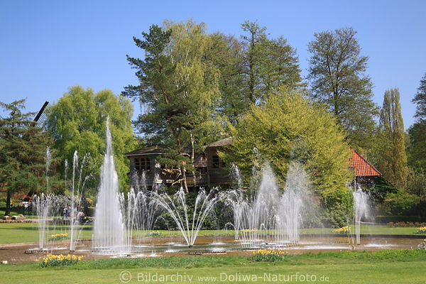 Wasserfontnen Springbrunnen Foto Bild auf Gartenwiese Vogelpark Walsrode