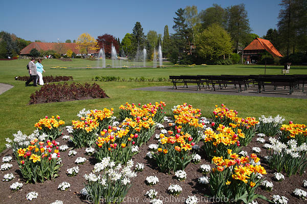 Garten Bild Vogelpark Walsrode Blumen auf Rabatten Wiese mit Fontnen Springbrunnen