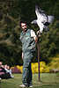 Greifvogel Flugschau Adler in Hand Tierpfleger vorm Publikum Vogelpark Walsrode