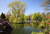 Wasserteich Fotos Frühlingsvegetation Vogelpark Walsrode Garten Bild vom Tierparkbesuch