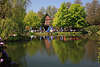 904462_ Gartencafé Bild am Teichwasser in Vogelpark Walsrode Frühlingsfoto in grüner Vegetation am Wasser