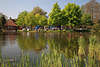 904464_ Teich mit Wasser Foto am Schilf in Garten Bild Vogelpark Walsrode, Tierparkbesuch Ausflugsfoto