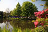 904467_ Blumen am Teichufer Vogelpark Walsrode, grüne Frühlingsvegetation am Wasser mit Gartencafé Blick