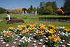 904483_ Garten Bild Vogelpark Walsrode Blumen auf Rabatten Wiese mit Fontänen Springbrunnen Foto