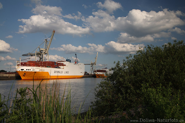 Hafenlandschaft grne Elbufer unter Wolken Containerschiffe in Hamburg