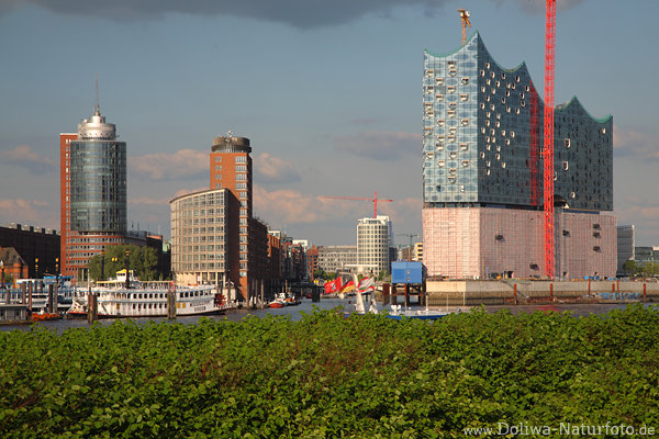 Hamburg Wolkenkratzer Hochtrme Skyline ber Elbufer grne Bsche vor Elbphilharmonie