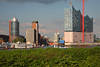 Hamburg Wolkenkratzer Foto Hochtrme Skyline ber Elbufer grne Bsche vor Elbphilharmonie