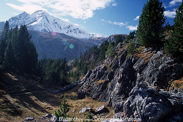Alpenlandschaft Naturbild: Berge Felswelt, grne Nadelbume Nationalparks Stilfserjoch