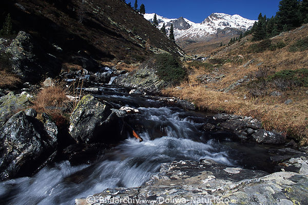 Wildbachwasser Felsen karge Berglandschaft Nationalpark Stilfserjoch Naturfoto