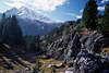 0757_Alpenlandschaft Naturbilder Kiefer grne Nadelbume in Felswelt Berge Stilfserjoch Nationalparks